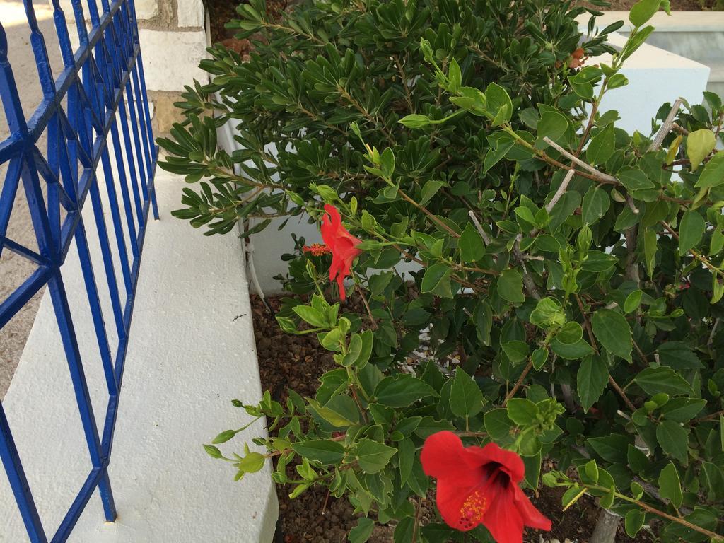 Sea Breeze Apartments Chios Monolia エクステリア 写真