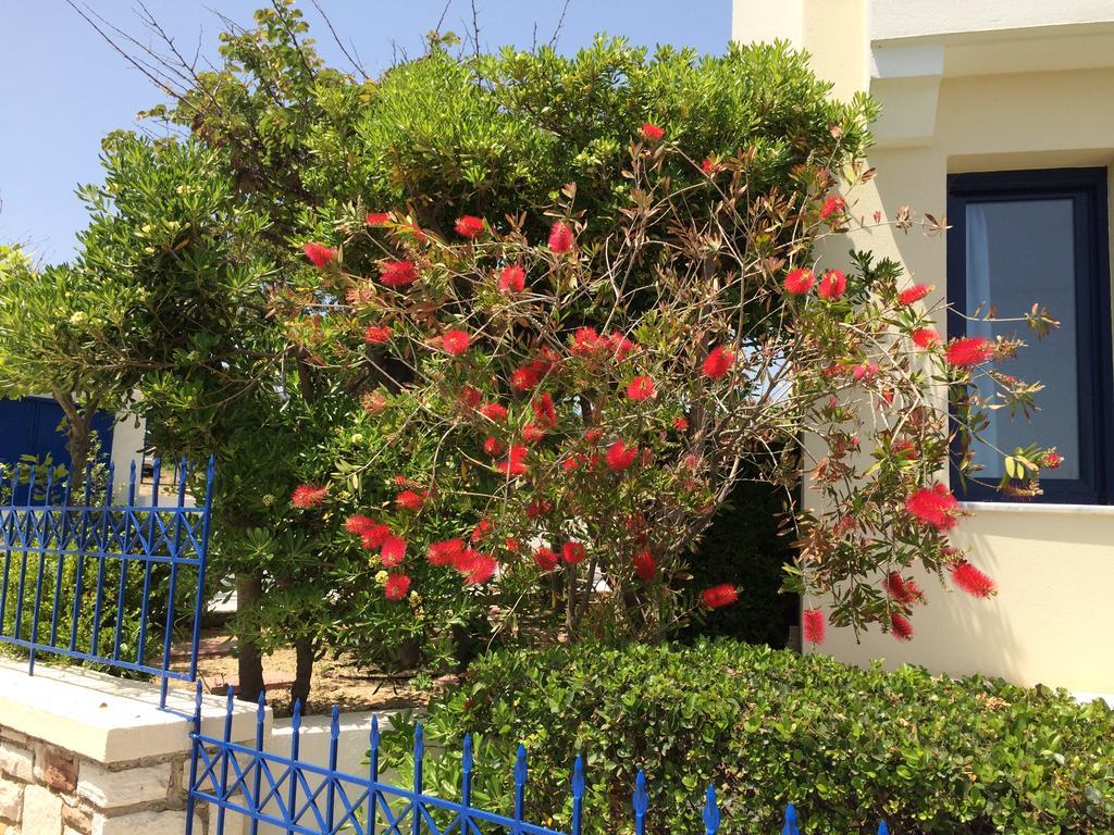 Sea Breeze Apartments Chios Monolia エクステリア 写真