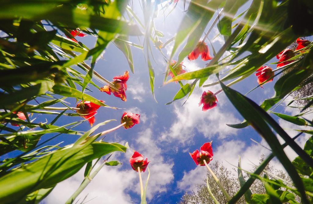 Sea Breeze Apartments Chios Monolia エクステリア 写真